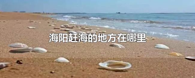 海阳赶海的地方在哪里 海阳赶海的地方在哪里