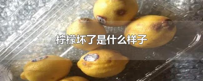 柠檬坏了是什么样子 柠檬坏了是什么样子