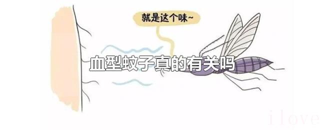 血型蚊子真的有关吗