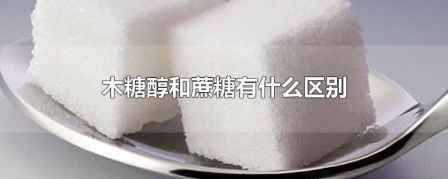 木糖醇和蔗糖有什么区别