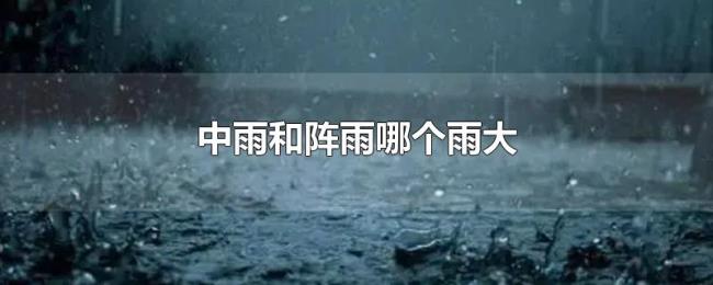 中雨和阵雨哪个雨大 中雨和阵雨哪个雨大