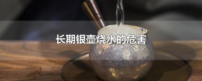 长期银壶烧水的危害 长期银壶烧水的危害