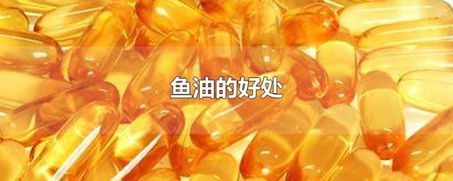 鱼油的好处 鱼油的好处