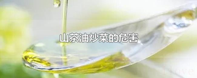 山茶油炒菜的危害