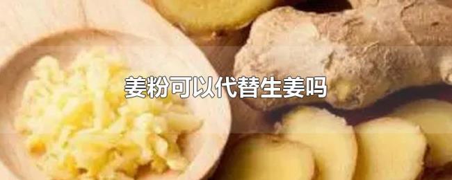 姜粉可以代替生姜吗 姜粉可以代替生姜吗