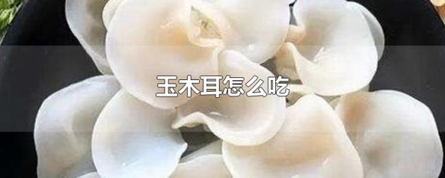 玉木耳怎么吃 玉木耳怎么吃