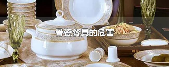 骨瓷餐具的危害 骨瓷餐具的危害