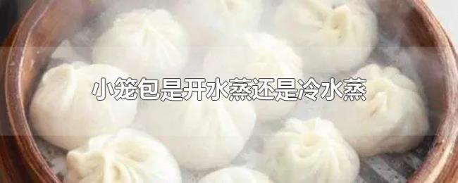 小笼包是开水蒸还是冷水蒸