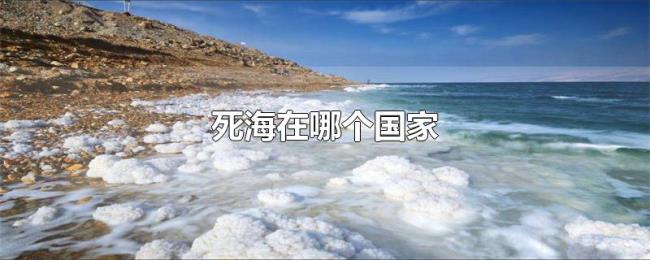死海在哪个国家 死海在哪个国家