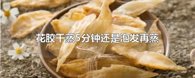 花胶干蒸5分钟还是泡发再蒸 花胶干蒸5分钟还是泡发再蒸
