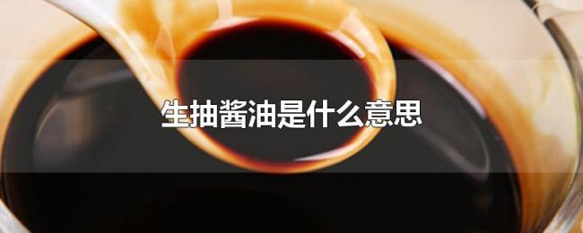生抽酱油是什么意思