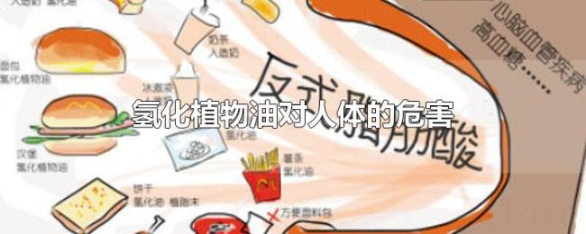 氢化植物油对人体的危害 氢化植物油对人体的危害