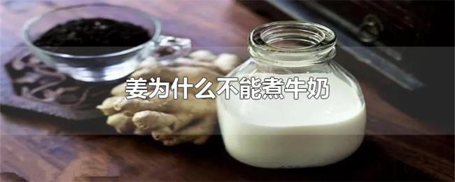 姜为什么不能煮牛奶 姜为什么不能煮牛奶