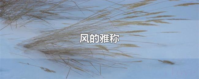 风的雅称 风的雅称