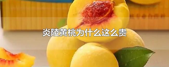 炎陵黄桃为什么这么贵 炎陵黄桃为什么这么贵