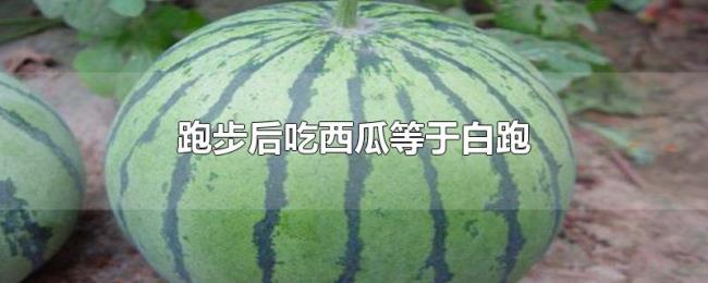 跑步后吃西瓜等于白跑 跑步后吃西瓜等于白跑