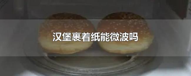 汉堡裹着纸能微波吗 汉堡裹着纸能微波吗