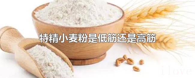 特精小麦粉是低筋还是高筋 特精小麦粉是低筋还是高筋
