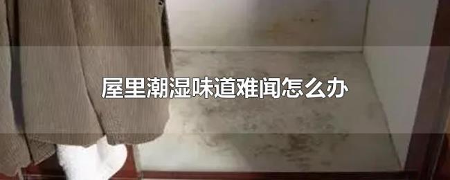 屋里潮湿味道难闻怎么办