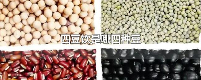 四豆饮是哪四种豆