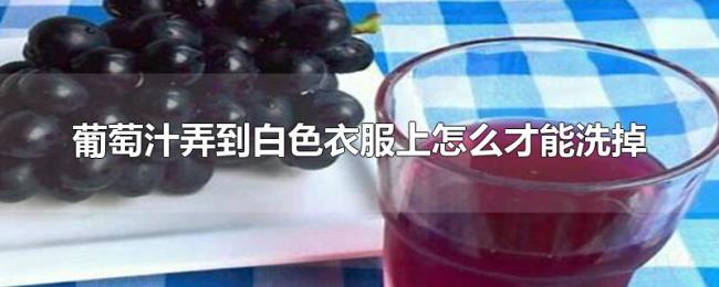 葡萄汁弄到白色衣服上怎么才能洗掉 葡萄汁弄到白色衣服上怎么才能洗掉