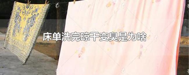 床单洗完晾干变臭是为啥 床单洗完晾干变臭是为啥