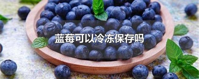 蓝莓可以冷冻保存吗 蓝莓可以冷冻保存吗