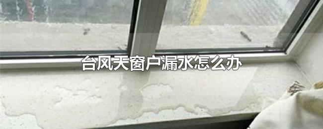 台风天窗户漏水怎么办 台风天窗户漏水怎么办
