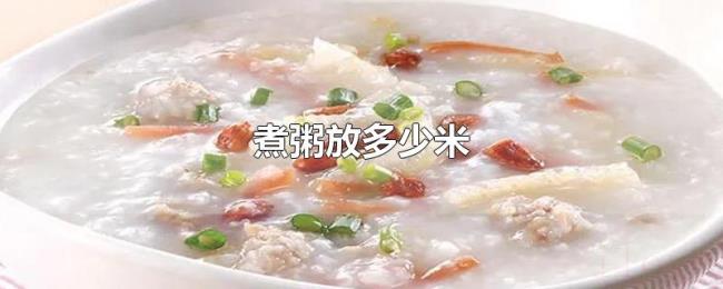 煮粥放多少米 煮粥放多少米