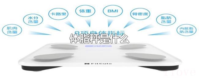 体脂秤是什么