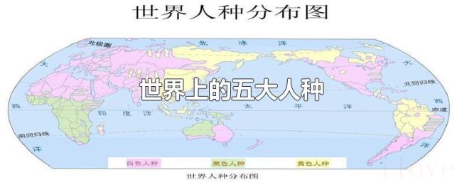 世界上的五大人种