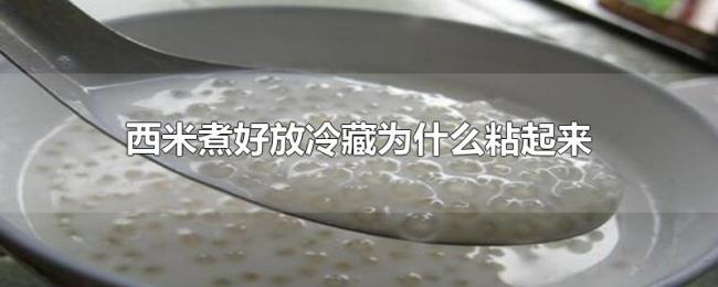 西米煮好放冷藏为什么粘起来 西米煮好放冷藏为什么粘起来
