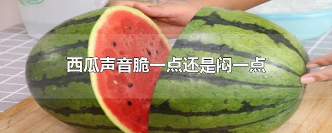 西瓜声音脆一点还是闷一点 西瓜声音脆一点还是闷一点
