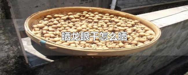 晒龙眼干怎么晒 晒龙眼干怎么晒
