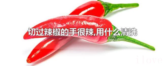 切过辣椒的手很辣,用什么清洗 切过辣椒的手很辣,用什么清洗