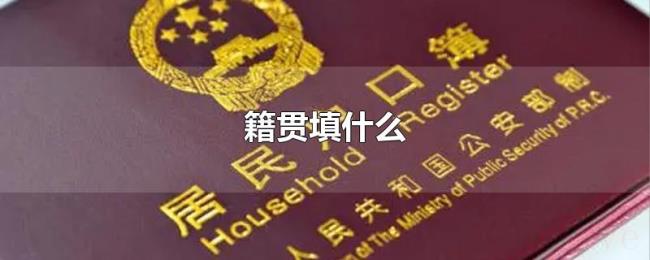籍贯填什么 籍贯填什么