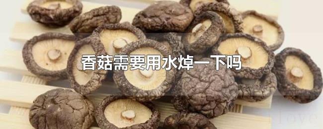 香菇需要用水焯一下吗 香菇需要用水焯一下吗