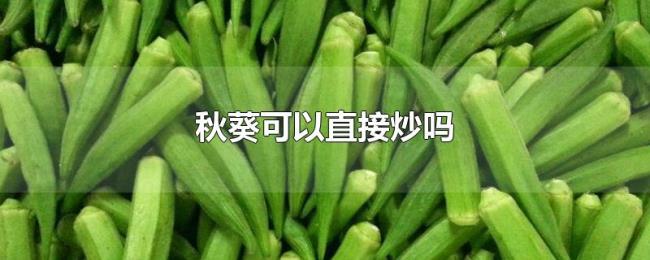 秋葵可以直接炒吗 秋葵可以直接炒吗