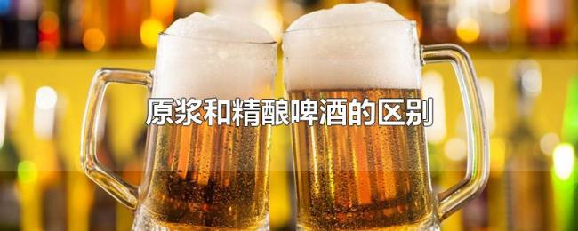 原浆和精酿啤酒的区别 原浆和精酿啤酒的区别
