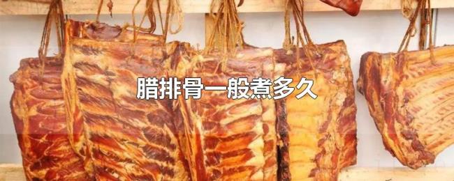 腊排骨一般煮多久 腊排骨一般煮多久