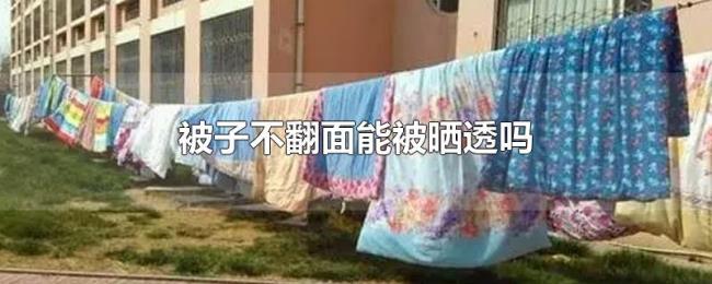 被子不翻面能被晒透吗 被子不翻面能被晒透吗