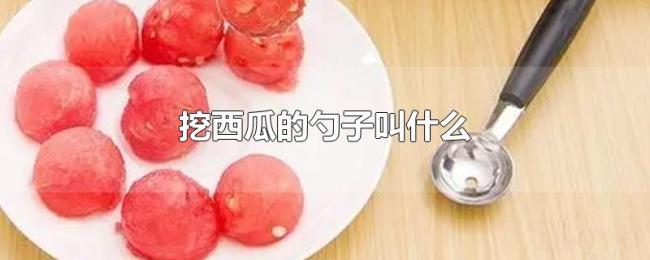 挖西瓜的勺子叫什么
