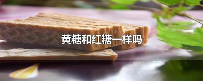 黄糖和红糖一样吗 黄糖和红糖一样吗