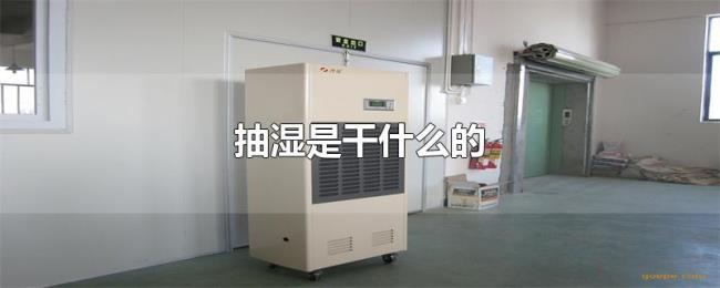 抽湿是干什么的 抽湿是干什么的