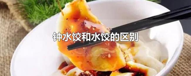 钟水饺和水饺的区别 钟水饺和水饺的区别