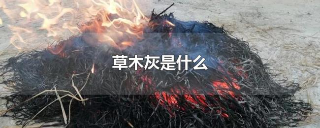 草木灰是什么 草木灰是什么