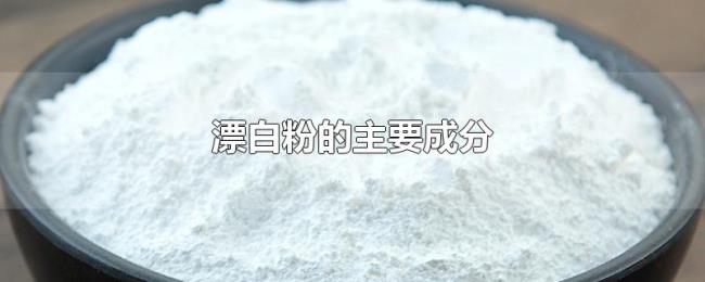 漂白粉的主要成分 漂白粉的主要成分