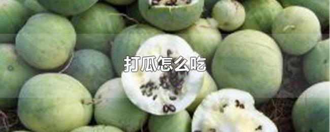 打瓜怎么吃 打瓜怎么吃