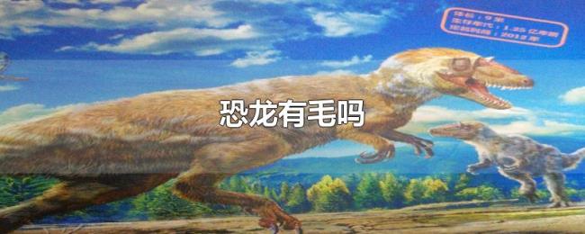 恐龙有毛吗 恐龙有毛吗