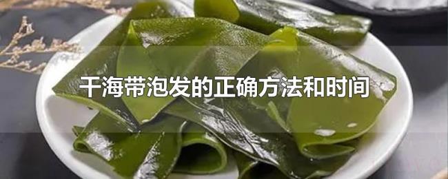 干海带泡发的正确方法和时间 干海带泡发的正确方法和时间